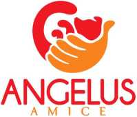 Canil Angelus Amice